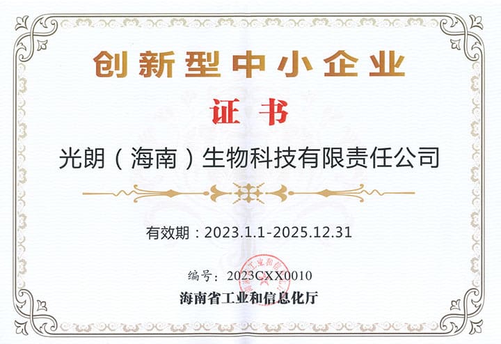 2023创新型中小企业