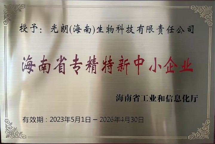 2023年海南省专精特新中小企业