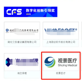 2025 数字化创新引领奖