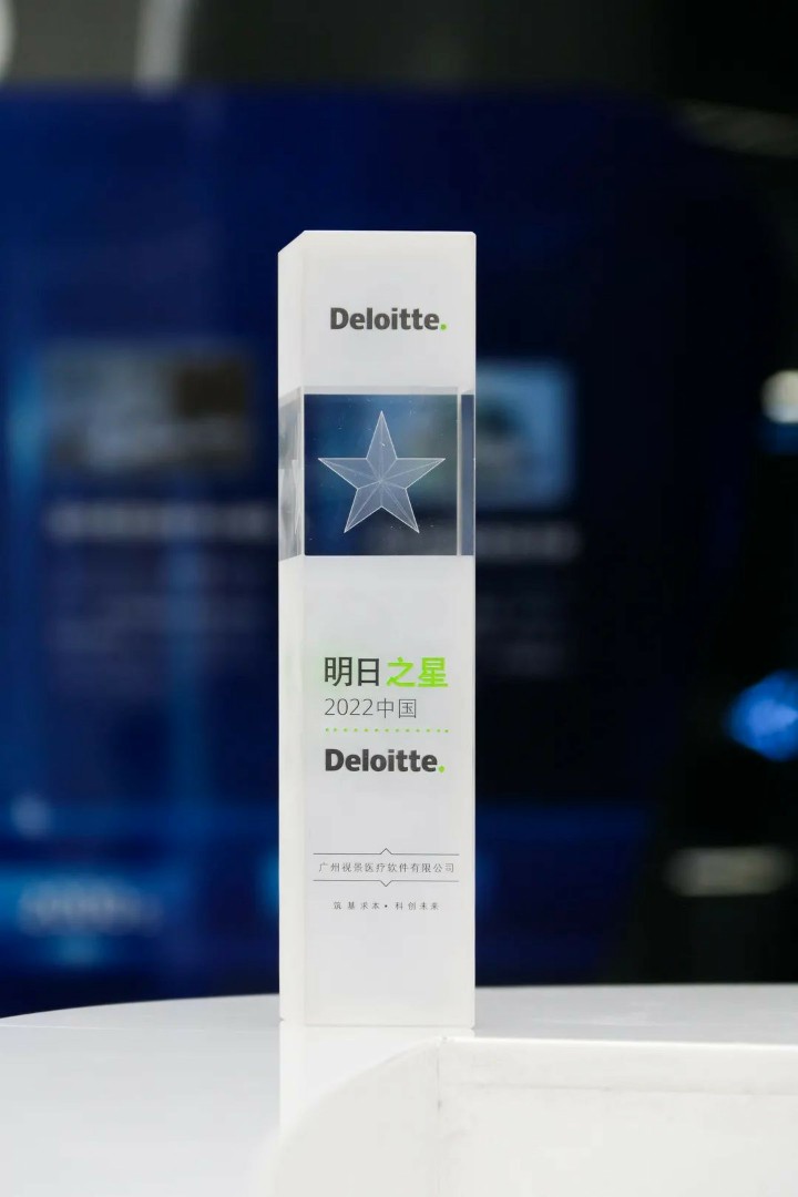2022德勤中国明日之星